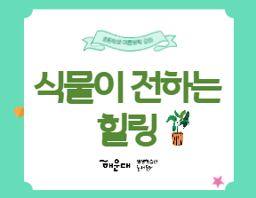 식물이 전하는 힐링의 파일이미지