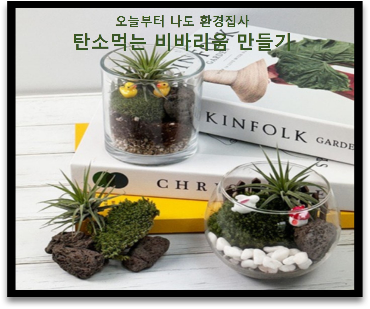 오늘부터 나도 환경집사 탄소먹는 비바리움 만들기(9.27.)의 파일이미지