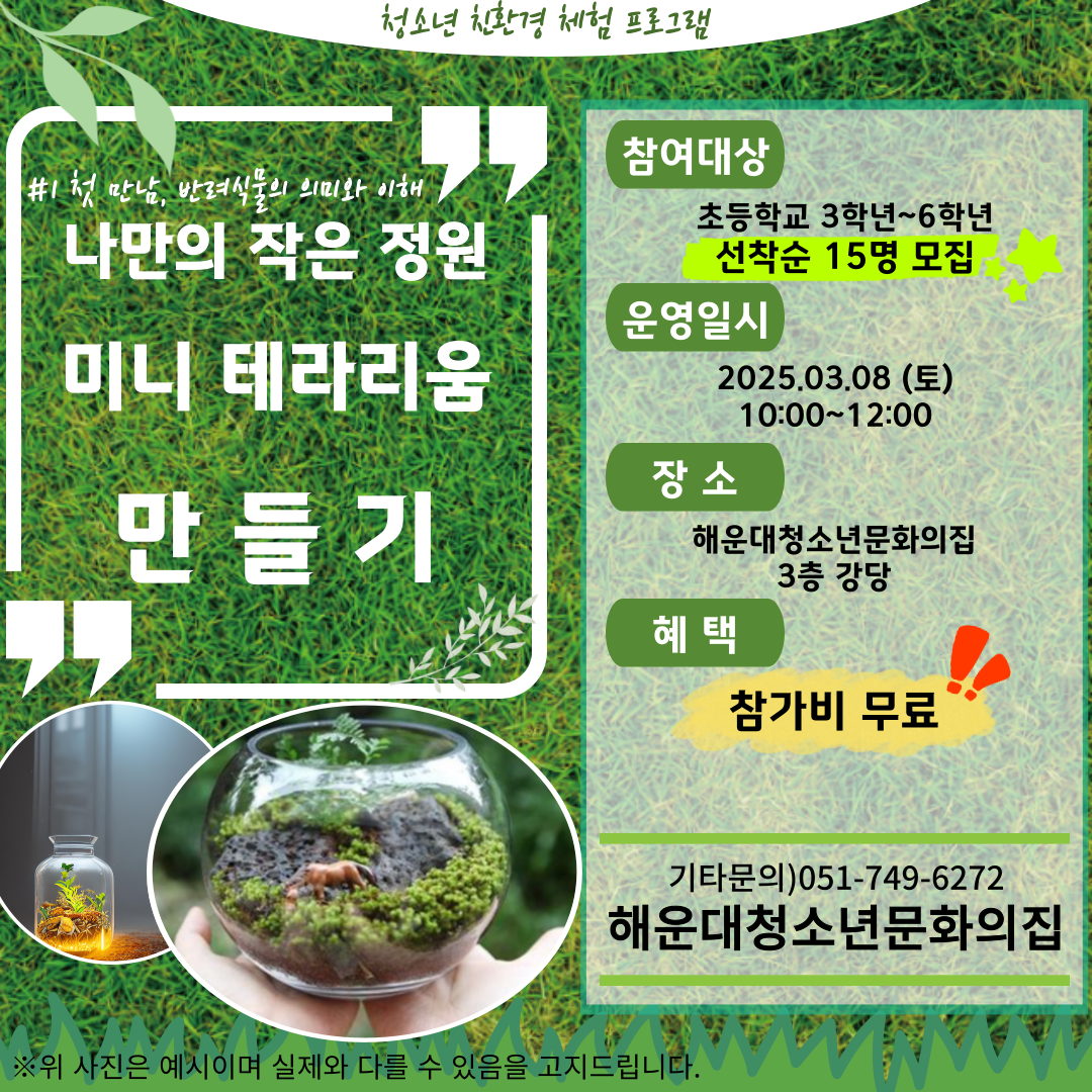 [청소년 환경친화활동]내 작은 숲, 초록다짐! 미니 테라리움 만들기의 파일이미지