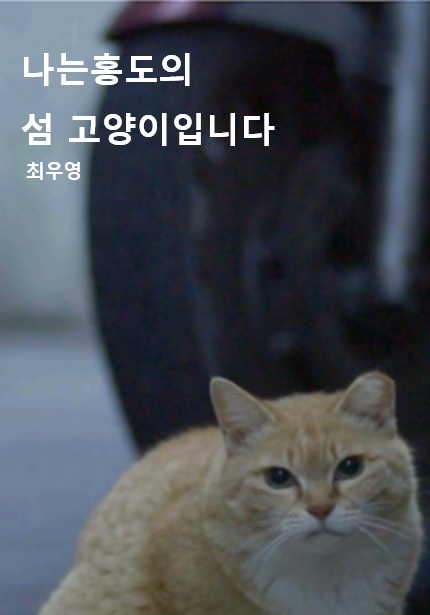 제7회 부산해운대 국제동물영화제 '나는 홍도의 섬 고양이입니다' 관람 신청의 파일이미지