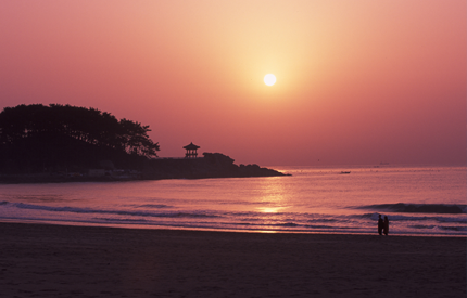 송정 해수욕장 전경3