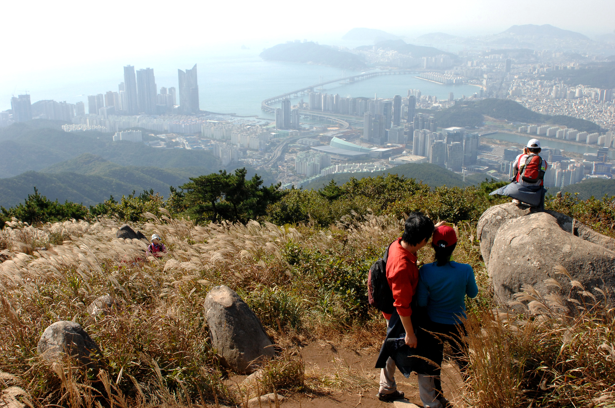 장산 정상〈萇山 頂上 〉 70년 만에 구민 품으로