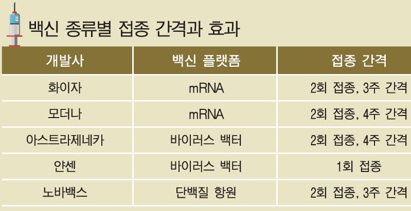 2월부터 무료 백신 접종 시작