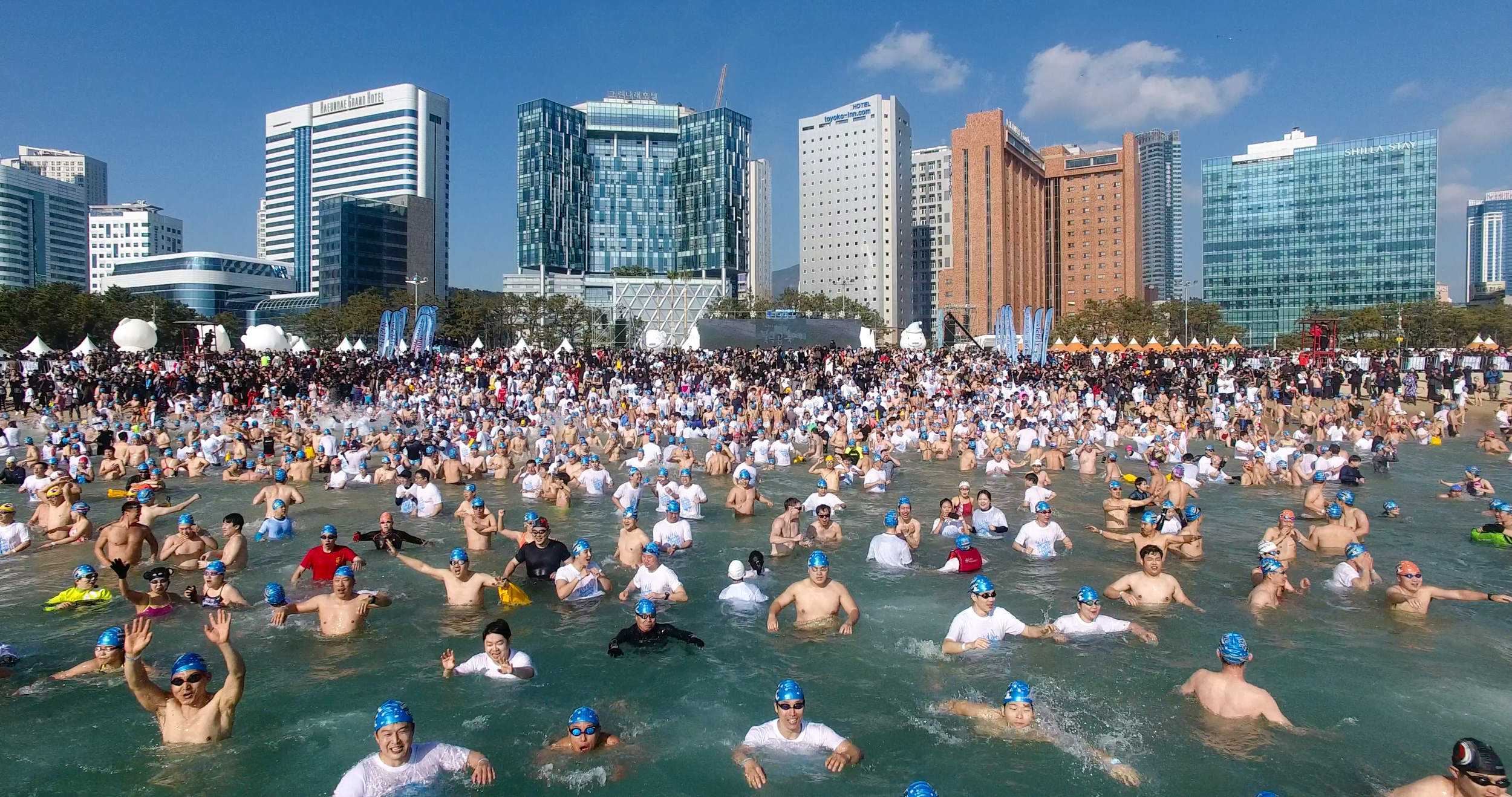 Haeundae Polar Bear Festival