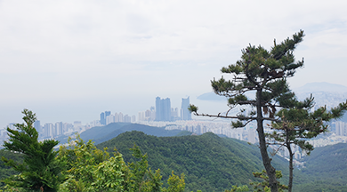 정상에서 전망가능한 곳(사진1)