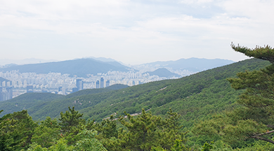 정상에서 전망가능한 곳(사진2)