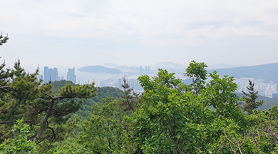 정상에서 전망가능한 곳(사진3)