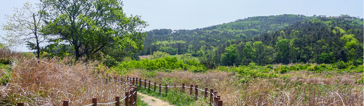 장산구립공원 소개이미지