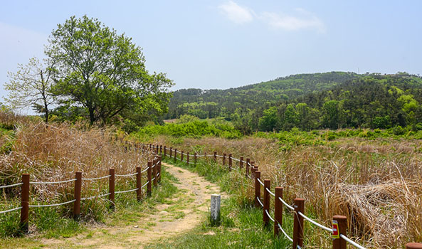 장산습지 우측 이미지