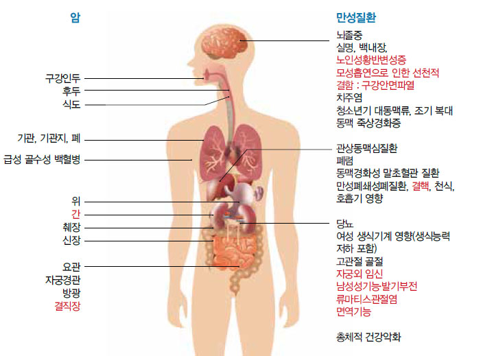 흡연으로 인한 건강문제 이미지