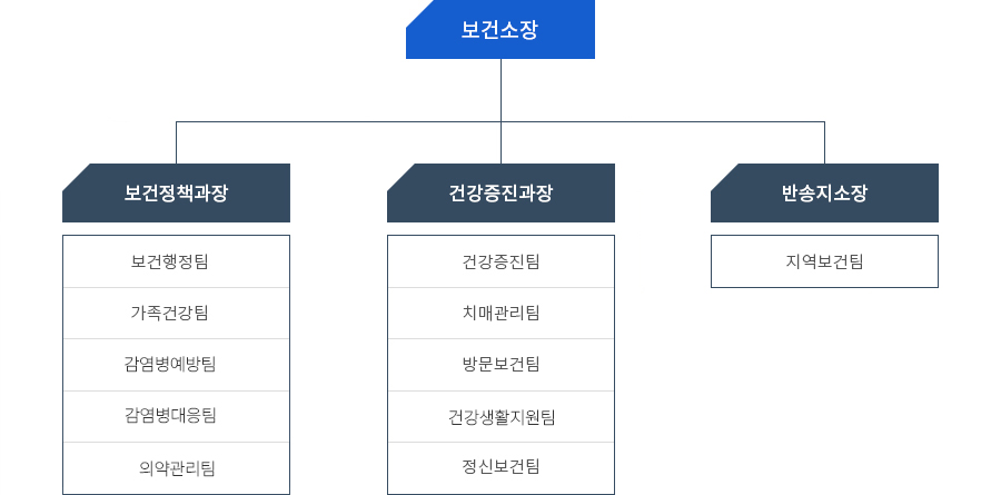 보건소장 아래로 보건정책과장(보건행정팀, 가족건강팀, 감염병예방팀, 감염병대응팀, 의약관리팀), 건강증진과장(건강증진팀, 치매관리팀, 방문보건팀, 건강생활지원팀, 정신보건팀), 반송지소장(지역보건팀)이 있습니다.