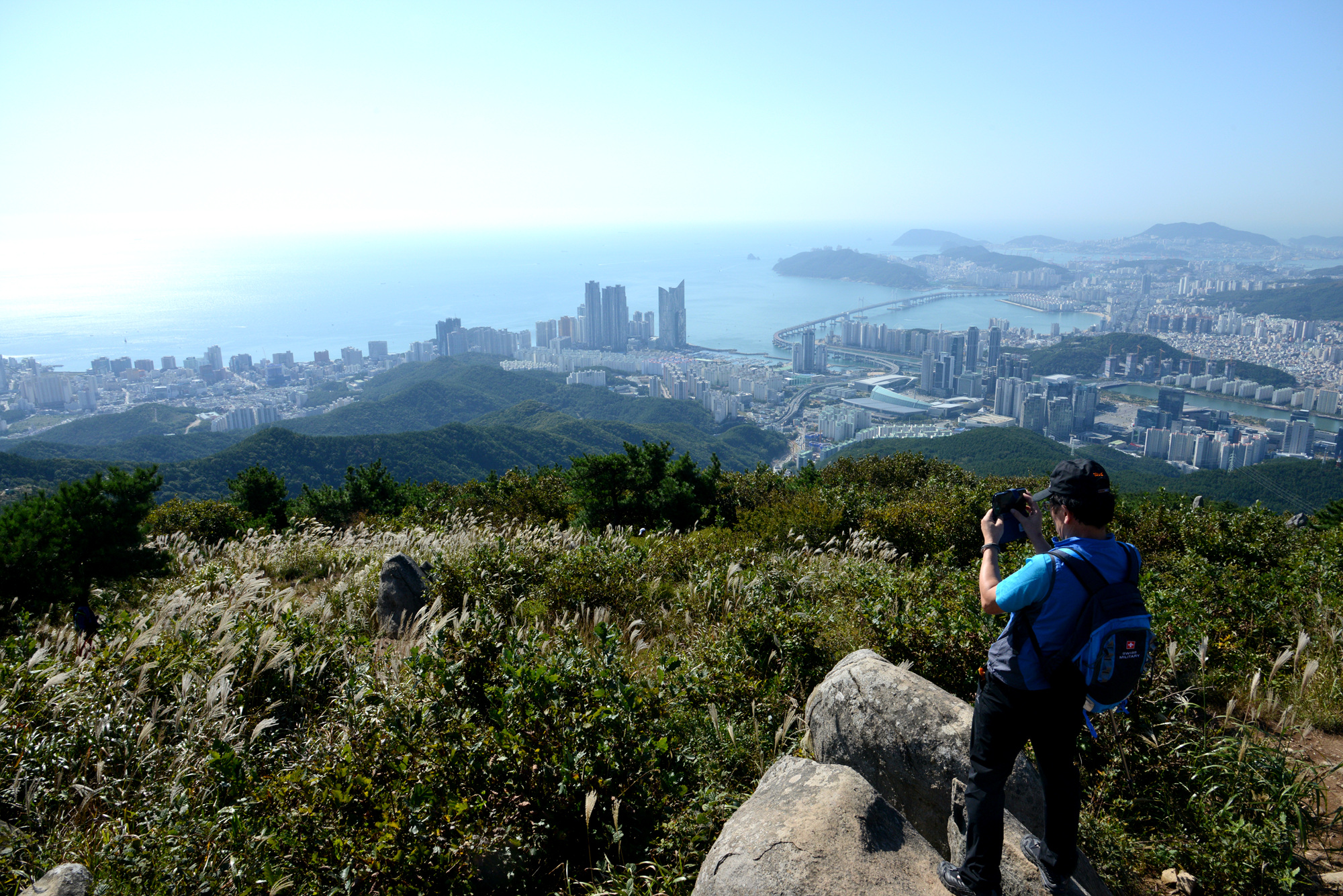 해운대 허파, 장산 구립공원 지정 추진