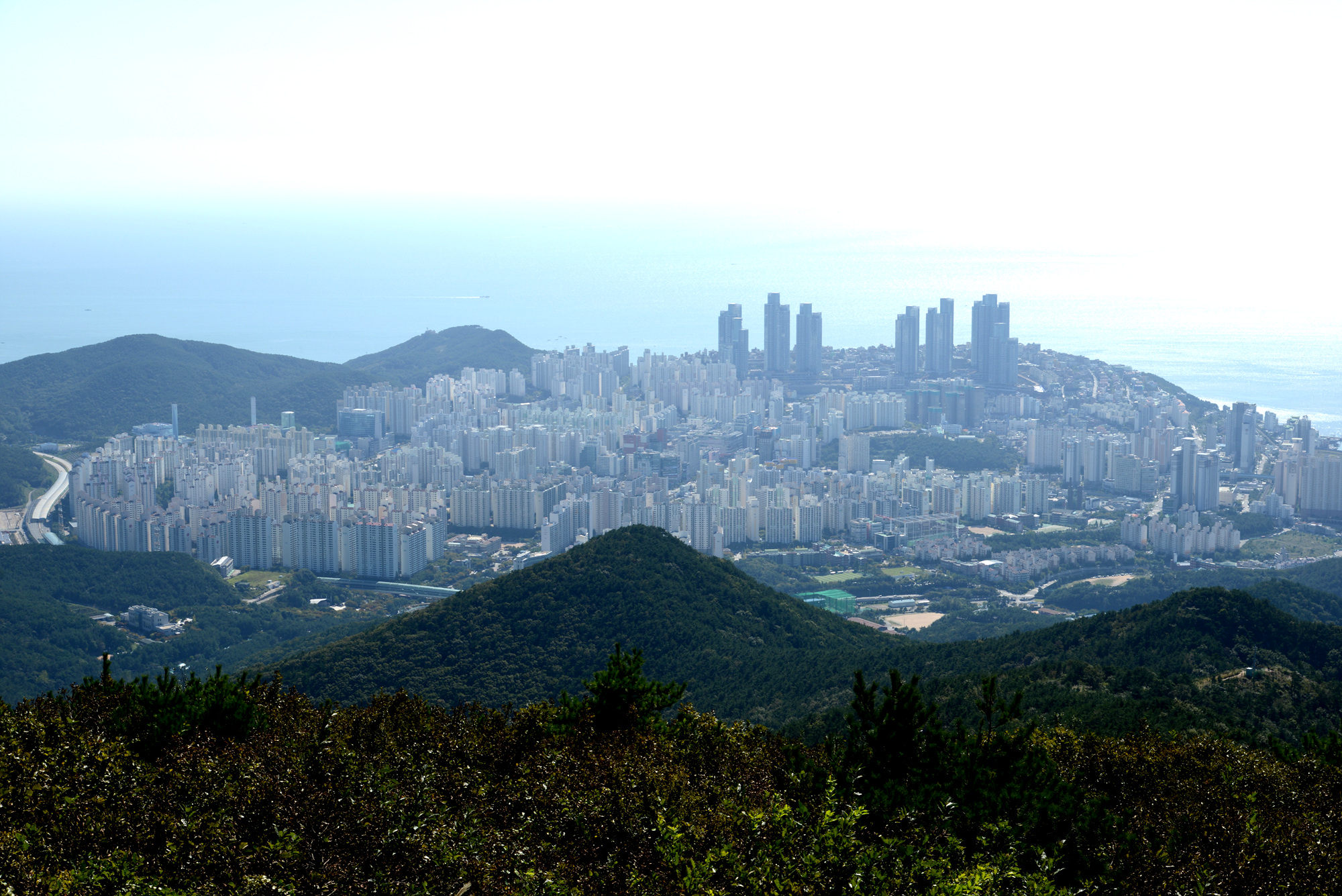 53사단 부지 일원 360만㎡ 그린벨트 해제