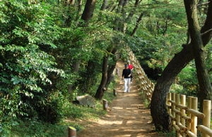 유명인사 문탠로드 사랑 이어져