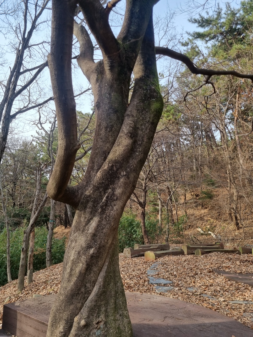 <걷기 좋은 도시가 살기 좋은 도시> 4. 재송동 주민의 다정한 뒷동산