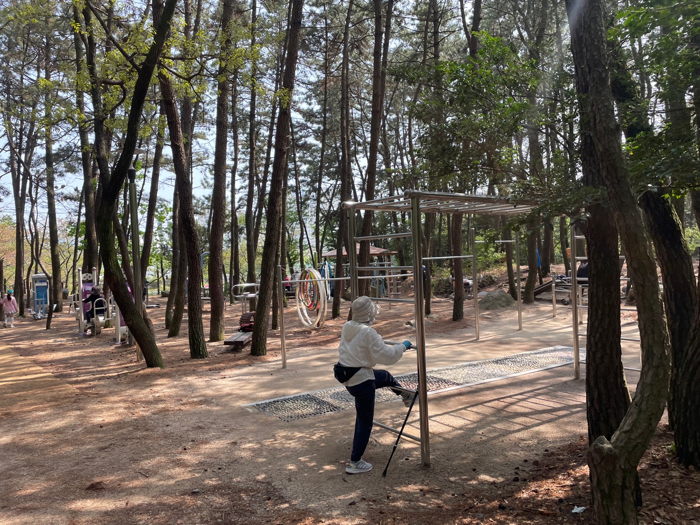 <걷기 좋은 도시가 살기 좋은 도시> 8. 초록 세상 온몸으로 느끼며 도심 속 공원 나들이 