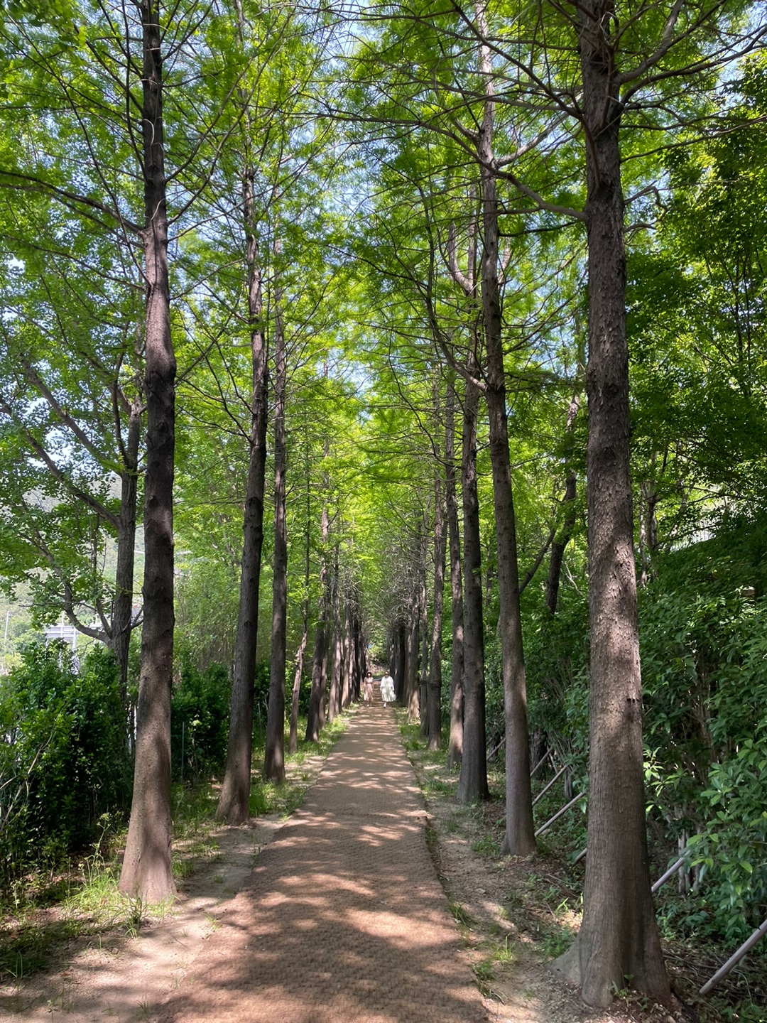 <걷기 좋은 도시가 살기 좋은 도시> 9. 걷기는 일상의 작은 여행