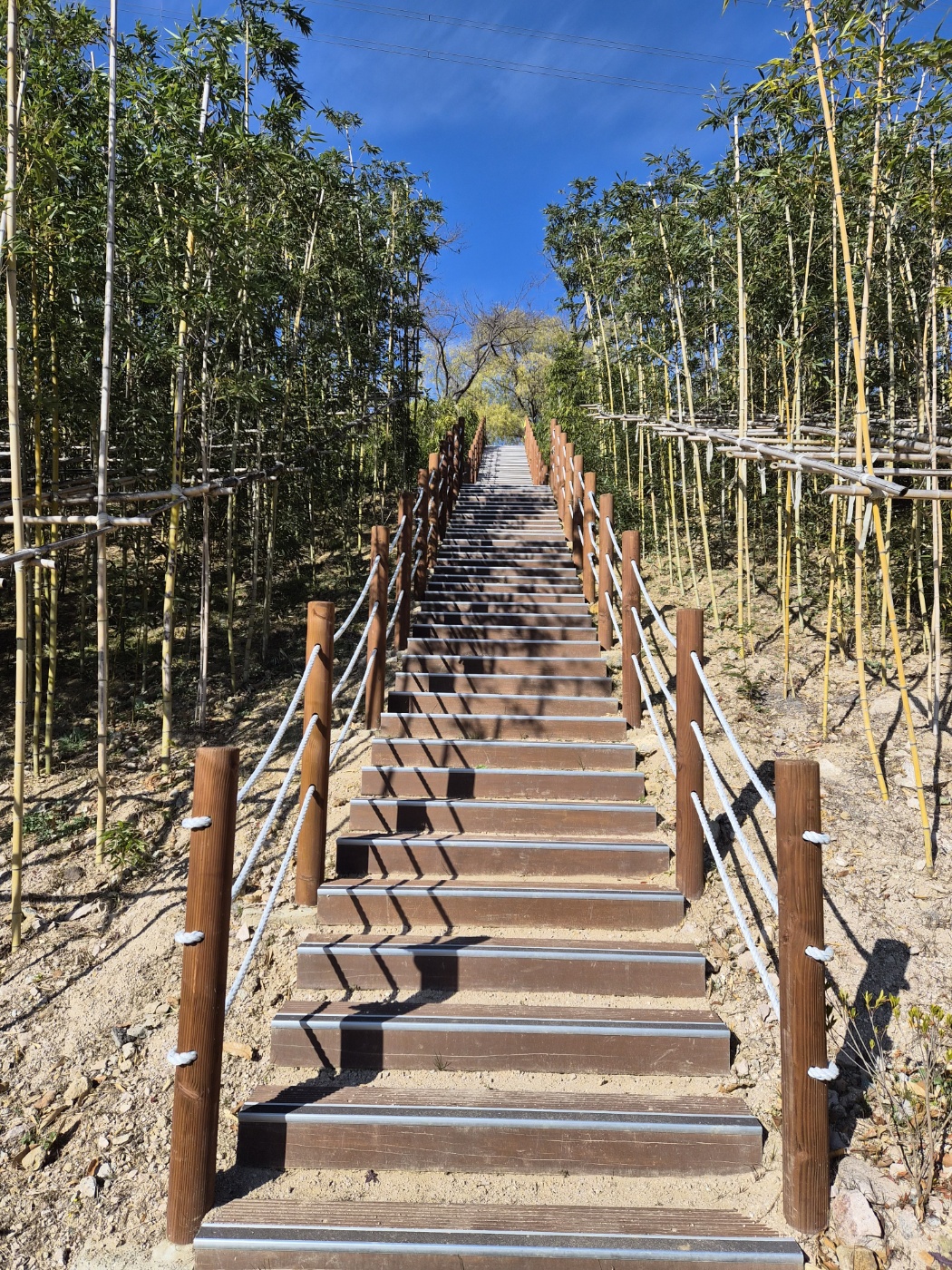 <걷기 좋은 도시가 살기 좋은 도시>24.해누리길 5코스