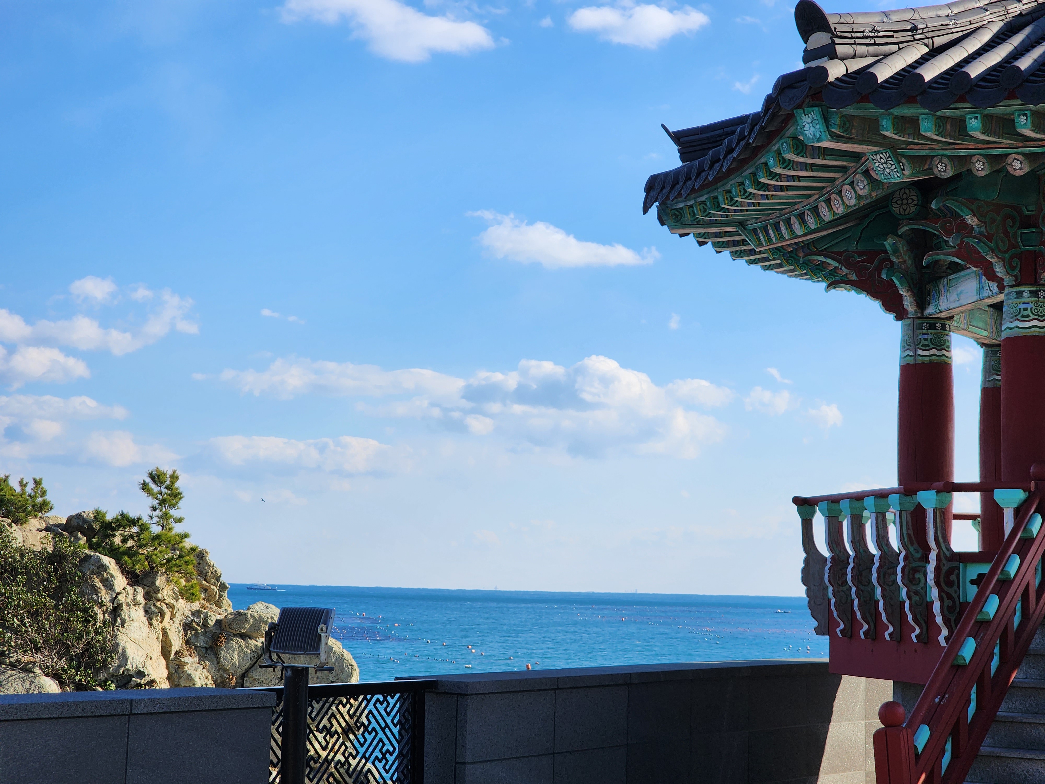 <해운대의 나무> 송정 죽도공원 해송