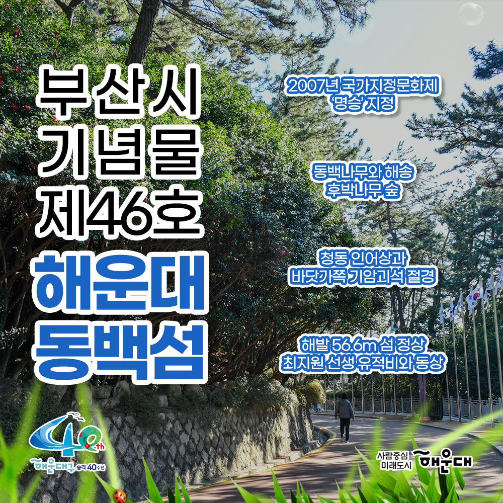 01. 
사시사철 푸른 숲 해운대 동백공원

02. 
부산시 기념물 제46호 해운대 동백섬
2007년 국가지정문화제 '명승' 지정
동백나무와 해송 후박나무 숲
청동 인어상과 바닷가쪽 기암괴석 절경
해발 56.6m섬 정상 최치원 선생 유적비와 동상

03.
동백공원 동백상징 숲 조성사업 완료
동백섬 진입로 1만㎡일대 약 4,500 그루의 나무 추가 식재
동백섬 전체 25종류 21,086그루

04.
동백섬 해안산책로
섬 전체로 이어지는 1km에 달하는 해안 일주도로

05.
다양한 전망으로 산책 가능한 해안일주도로!
동백섬 해안산책로

06.
동백섬 안의 명소!
누리마루 APEC 하우스
역대 APEC 정상회의장 중 풍광이 가장 뛰어난 곳으로 평가

07.
해운대 동백공원 찾아오시는 길
지하철로 오시는 길: 2호선 동백역 하차
버스로 오시는 길: 1003번 동백섬 입구 하차, 1001번 부산문화여고 하차, 
40번, 200번, 38번, 141번 운촌 하차 2번째 이미지