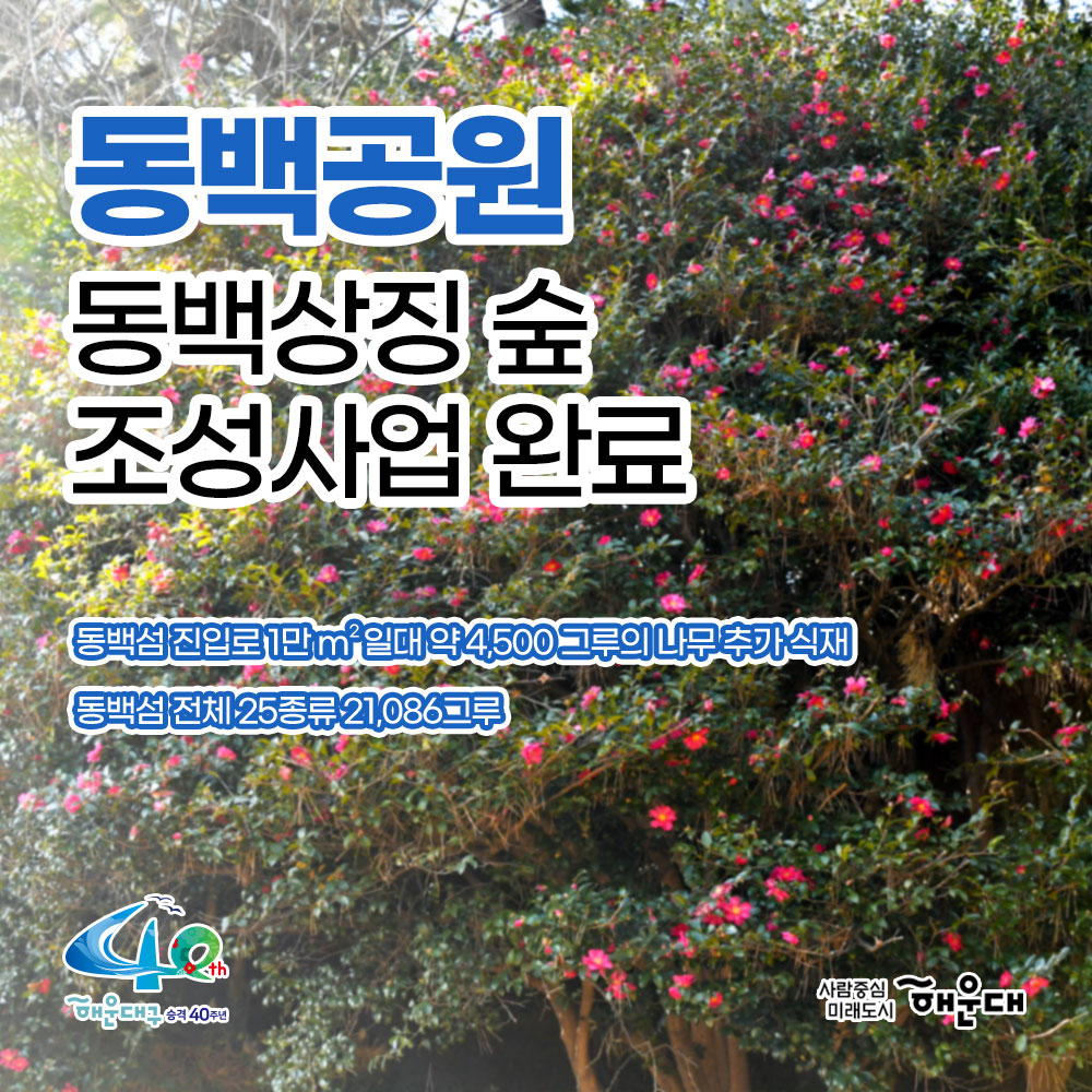 01. 
사시사철 푸른 숲 해운대 동백공원

02. 
부산시 기념물 제46호 해운대 동백섬
2007년 국가지정문화제 '명승' 지정
동백나무와 해송 후박나무 숲
청동 인어상과 바닷가쪽 기암괴석 절경
해발 56.6m섬 정상 최치원 선생 유적비와 동상

03.
동백공원 동백상징 숲 조성사업 완료
동백섬 진입로 1만㎡일대 약 4,500 그루의 나무 추가 식재
동백섬 전체 25종류 21,086그루

04.
동백섬 해안산책로
섬 전체로 이어지는 1km에 달하는 해안 일주도로

05.
다양한 전망으로 산책 가능한 해안일주도로!
동백섬 해안산책로

06.
동백섬 안의 명소!
누리마루 APEC 하우스
역대 APEC 정상회의장 중 풍광이 가장 뛰어난 곳으로 평가

07.
해운대 동백공원 찾아오시는 길
지하철로 오시는 길: 2호선 동백역 하차
버스로 오시는 길: 1003번 동백섬 입구 하차, 1001번 부산문화여고 하차, 
40번, 200번, 38번, 141번 운촌 하차 3번째 이미지