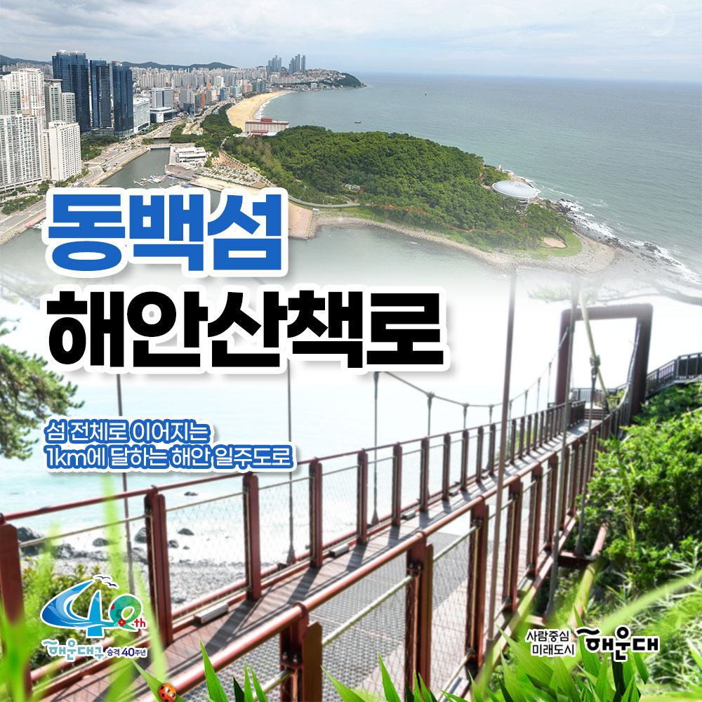 01. 
사시사철 푸른 숲 해운대 동백공원

02. 
부산시 기념물 제46호 해운대 동백섬
2007년 국가지정문화제 '명승' 지정
동백나무와 해송 후박나무 숲
청동 인어상과 바닷가쪽 기암괴석 절경
해발 56.6m섬 정상 최치원 선생 유적비와 동상

03.
동백공원 동백상징 숲 조성사업 완료
동백섬 진입로 1만㎡일대 약 4,500 그루의 나무 추가 식재
동백섬 전체 25종류 21,086그루

04.
동백섬 해안산책로
섬 전체로 이어지는 1km에 달하는 해안 일주도로

05.
다양한 전망으로 산책 가능한 해안일주도로!
동백섬 해안산책로

06.
동백섬 안의 명소!
누리마루 APEC 하우스
역대 APEC 정상회의장 중 풍광이 가장 뛰어난 곳으로 평가

07.
해운대 동백공원 찾아오시는 길
지하철로 오시는 길: 2호선 동백역 하차
버스로 오시는 길: 1003번 동백섬 입구 하차, 1001번 부산문화여고 하차, 
40번, 200번, 38번, 141번 운촌 하차 4번째 이미지