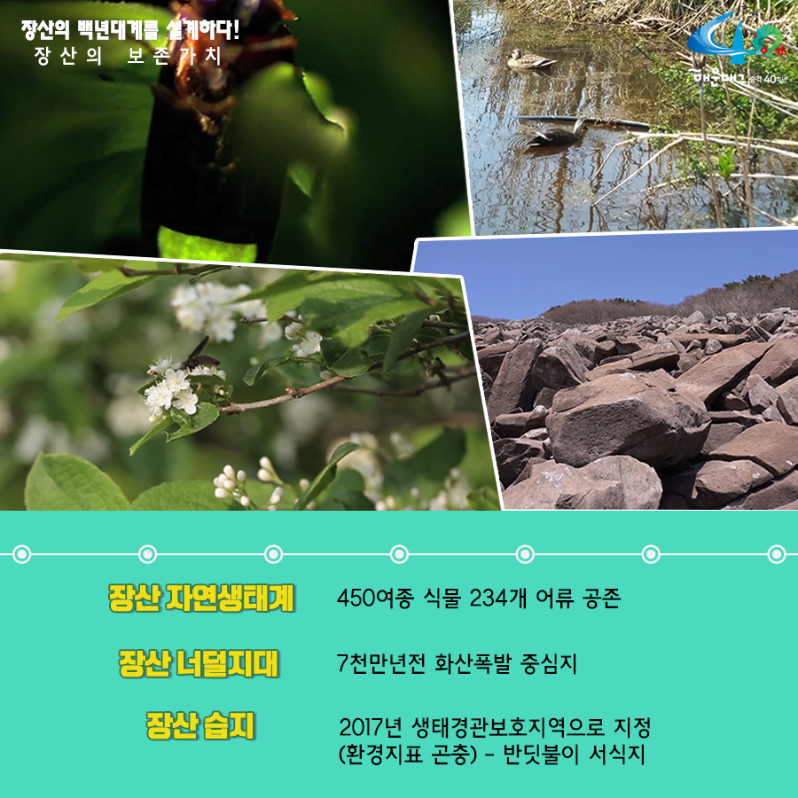 01.
장산구립공원 지정
장산의 백년대계를 설계하다!

02.
장산의 중요성
해운대구의 허파 '장산'
해운대구 18개 동 중 16개 동과 연접

03. 장산의 중요성
장산은 우리의 '백년대계'
장산 부산시 지정 문화재 4점 보유
원각사현왕도, 장산마고당, 천제단 선바위, 묘법연화경

04.
장산 구립공원의 필요성
현재 장산 관리 체계
산림자원법-개발제한구역법-군사기지법

05.
장산 구립공원의 필요성
해운대 통합관리-구립공원 지정-자원공원법(개발제한구역법, 산림자원법, 군사기지법)

06.
장산구립공원 지정시 장점
- 자연자원조사(5년), 보존관리 계획수립(10년마다)
- 통합인허가(공원사업시행, 행위허가 등)
- 자연훼손, 야영, 취사 등 행위금지
- 자연공원 체험활동, 자연환경해설사 채용

07.
장산의 보존가치
장산 자연생태계 : 450여종 식물 234개 여류 공준
장산 너덜지대 : 7천만년전 화산폭발 중심지
장산 습지 : 2017년 생태경관보호지역으로 지정(환경지표 곤충) - 반딧불이 서식지

08.
장산마을의 공원마을화
국립공원 명품마을 지정후 변화 추이
담당객 증가 현황 138.6%
조성전 : 192,263명
2017년 : 458,821명
주민소득 증가 현황 515%
조성전 : 787백만원
2017년 : 4,838백만원

09. 역사문화지구지정
장산원각사
'불무도' 총 본원
해운대 전경을 한눈에 볼 수 있는 명소
현재 개발제한구역 보수공사 불가능
원각사, 성볼사, 폭포사 등 역사문화유산지구로 지정 시 통합적 관리가능

10. 
힐링의 공간 장산
해운대구민의 힐링공간 '장산' 만들기
- 해운대 도심형 숲 속 야영장 유치
- 국립 산림교육전문 휴양시설 숲체원 유치
- 대천공원 사람 중심의 보행길 조성
- 단절된 신해운대역~대천공원 걷기 좋은 보행길 연결
- 송정 옛길 복원(좌동 환경곤단 ~ 송정 두타사)
- 장산 허리둘레길 개통(반송~반여~재송~우동)

11.
장산 구립공원 지정
주민과 함께 만들과 세계인이 함께 찾는 '장산'을 만들겠습니다 7번째 이미지