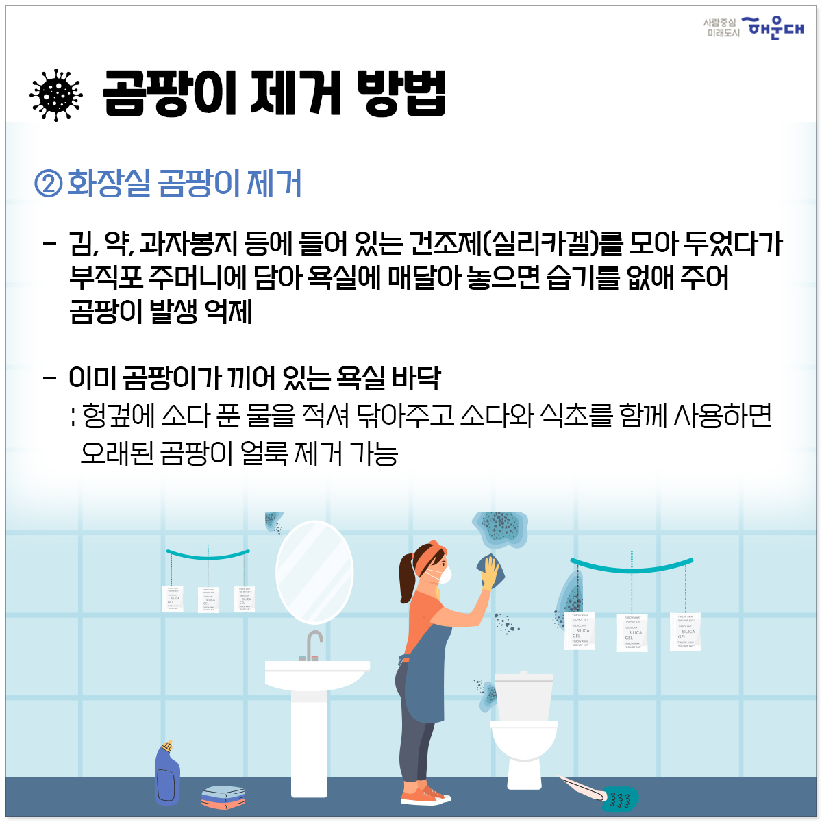  5번째 이미지