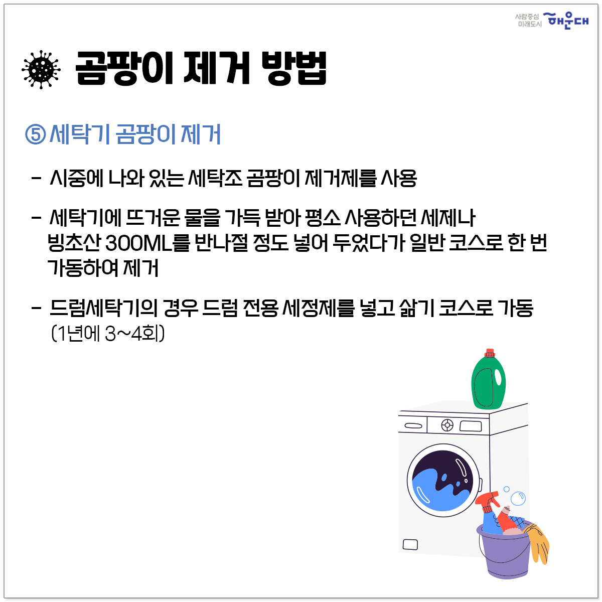  8번째 이미지