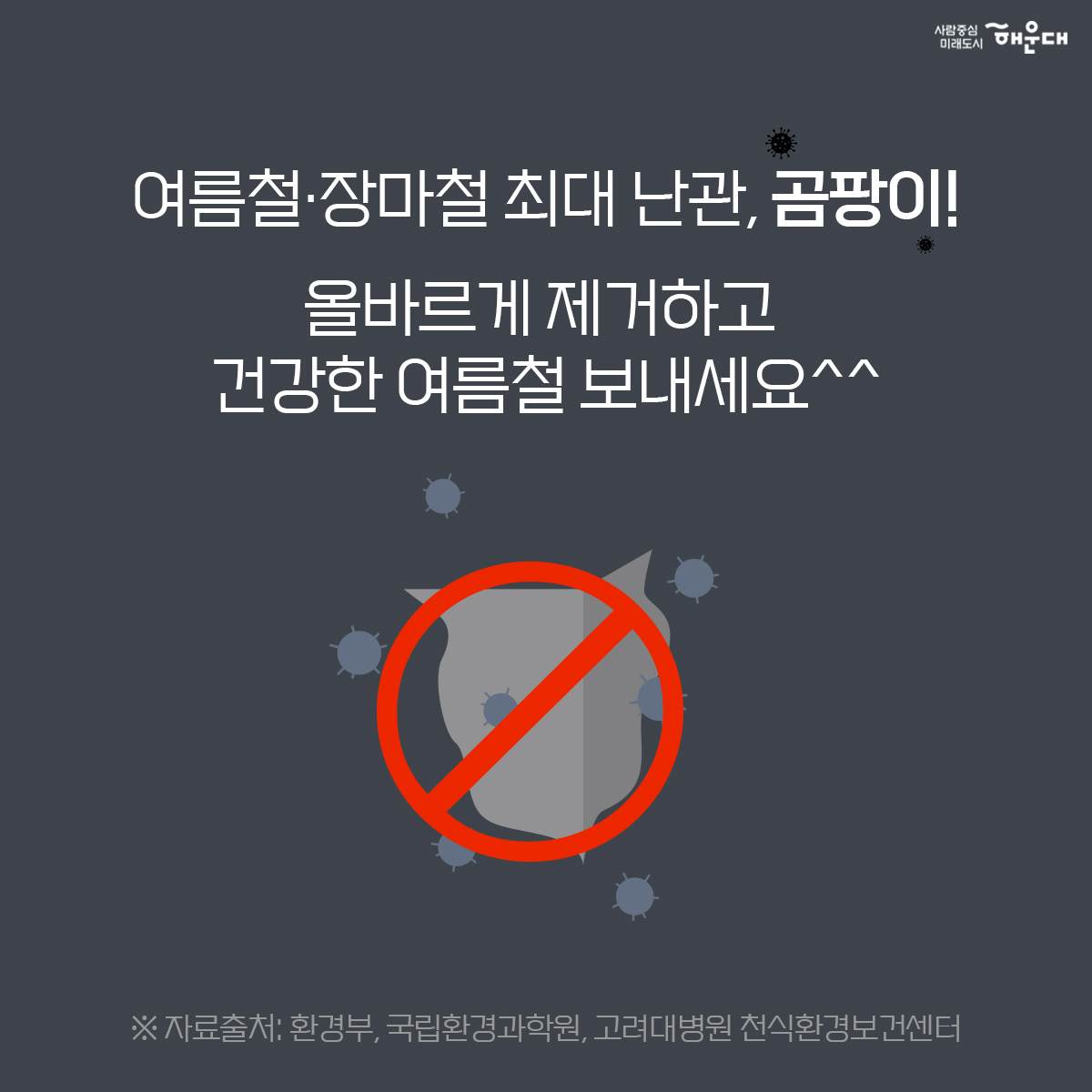  10번째 이미지