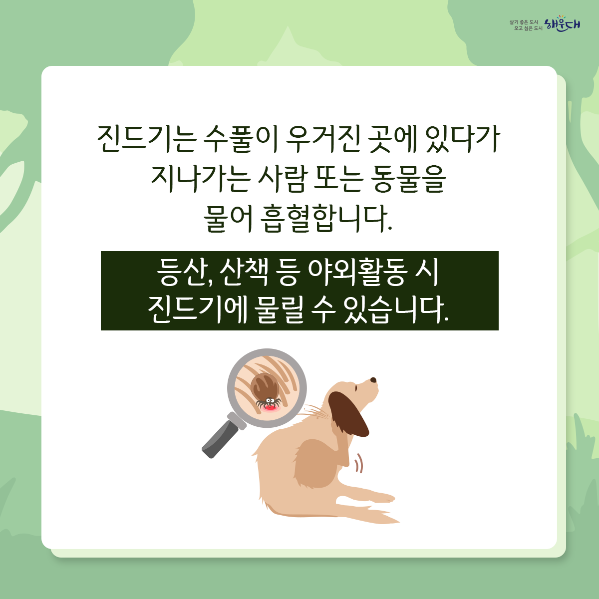 야외활동 시 진드기를 조심하세요!

진드기는 수풀이 우거진 곳에 있다가
지나가는 사람 또는 동물을 물어 흡혈합니다.

등산, 산책 등 야외활동 시 진드기에 물릴 수 있습니다.
진드기 매개 감염병, 어떻게 예방할 수 있나요?
예방수칙1 : 야외활동 또는 농작업 전
√ 안전하게 옷 갖춰 입기 (밝은 색 긴 옷, 모자, 목수건, 목이 긴 양말, 장갑 등)
√ 진드기 기피제 사용하기
예방수칙2 : 야외활동 또는 농작업 중
√ 휴식 시 돗자리 사용하기  √ 풀밭에서 용변 보지 않기
√ 풀밭 위에 옷 벗어놓지 않기, 풀밭에 앉지 않기
√ 기피제의 효능 지속시간 고려하여 주기적으로 사용하기
예방수칙3 : 야외활동 또는 농작업 후
√ 귀가 즉시 옷은 세탁하고 샤워(목욕)하기
√ 몸에 벌레 물린 상처 또는 진드기가 붙어있는지 확인하기 2번째 이미지