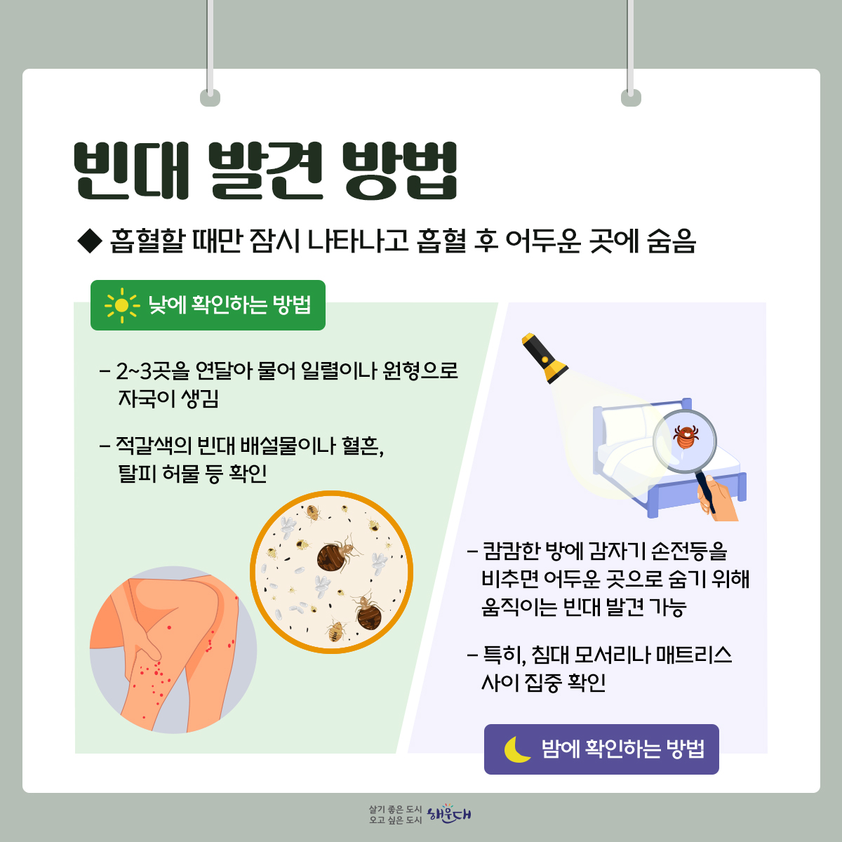 ○ 빈대란?
- 성충은 약 5~6mm 상하로 납작하게 눌린 계란형이며, 진한 갈색을 띰
- 주로 침대 등에 서식하며 야간에 수면 중인 사람을 흡혈
○빈대에 물리면?
- 가려움증을 유발하여 2차적 피부 감염이 생기기도 함
- 드물게 아나필락시스가 일어나서 고열 및 염증반응을 일으킴
- 주로 야간에 흡혈하는 습성으로 수면 방해
○빈대 발견 방법
- 흡혈할 때만 잠시 나타나고 흡혈 후 어두운 곳에 숨음
○빈대 예방 방법
- 숙박업소 방문 즉시 빈대가 숨어있는 공간 확인
- 빈대가 보이지 않는 경우에도 방 바닥 또는 침대에 짐 보관 지양
- 여행 중 빈대에 경험이 있으면, 여행 용품에 대한 철저한 소독 필요
※ 빈대에 물렸다면, 우선 물과 비누로 씻고 증상에 따른 치료법 및 의약품 처방은 의사 또는 약사와 상의하세요!

자료출처 : 질병관리청(www.kdca.go.kr) [해외여행 시, 빈대 바로 알고 미리 예방하기] 3번째 이미지